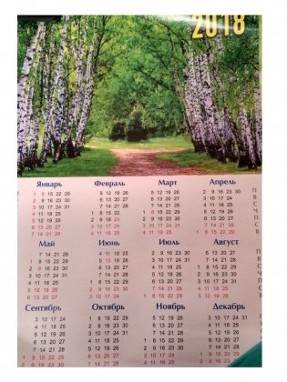 Календарь-плакат "Березы" на 2018 год фото книги