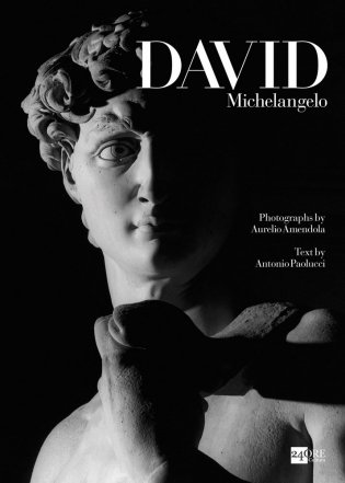 Michelangelo's David фото книги