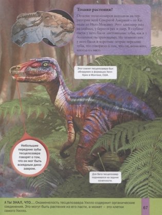 Динозавры для детей фото книги 6