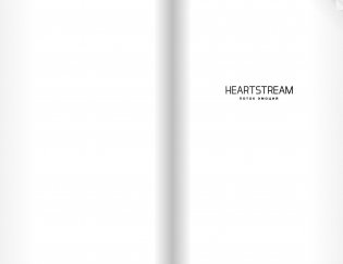 HEARTSTREAM. Поток эмоций фото книги 2