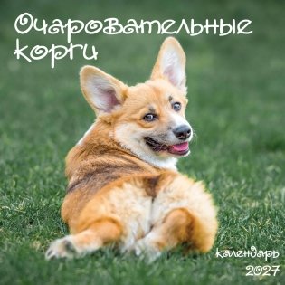 Очаровательные корги. Календарь настенный на 2027 год (300х300 мм) фото книги