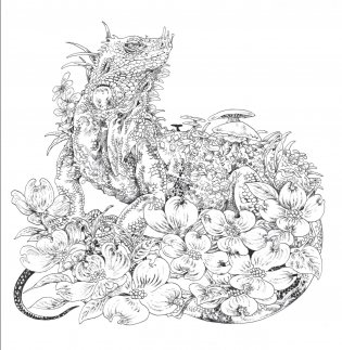 Скетчбук-раскраска. Мир поразительных существ Кэна Мацуды (белая с кроликом) фото книги 7