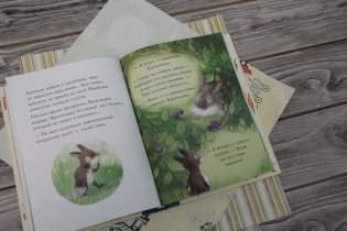 Большой сюрприз для маленького кролика фото книги 2