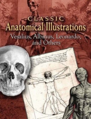 Classic Anatomical Illustrations фото книги