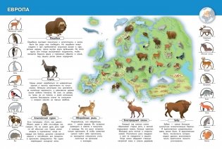 Животные нашей планеты. Моя первая энциклопедия с наклейками фото книги 3