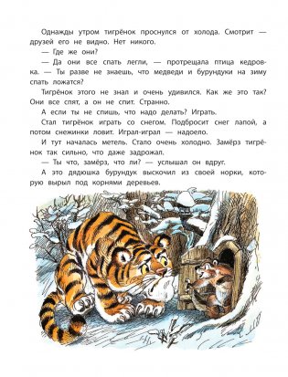 Сказка про Зелёную Лошадь фото книги 9