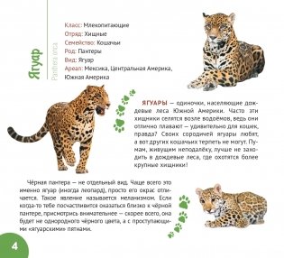 Сельва Амазонии фото книги 3