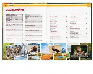 Хищники. Энциклопедия фото книги 3