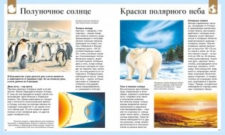 Детская энциклопедия про всё на свете фото книги 8