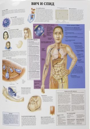 Анатомия человека: болезни и нарушения фото книги 9