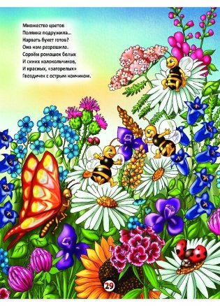 Летом в лесу фото книги 7