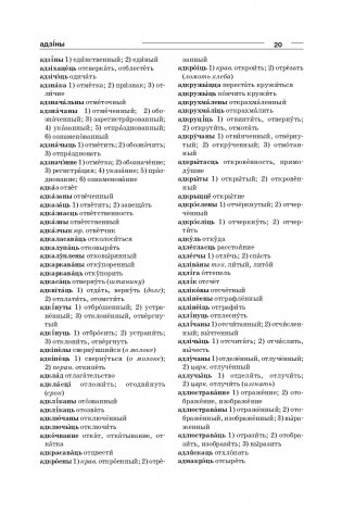 Большой белорусско-русский, русско-белорусский словарь фото книги 18