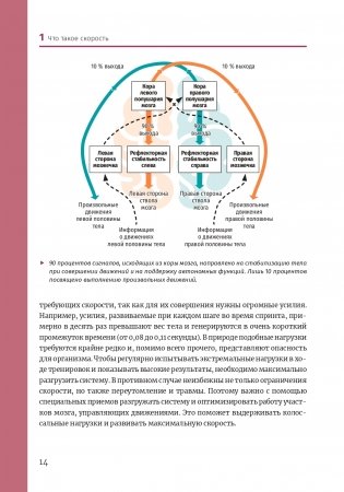 Нейроатлетика для улучшения реакции и скоростных характеристик: скорость зарождается в мозге фото книги 13