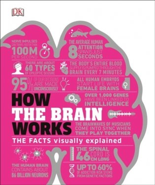 How the Brain Works фото книги
