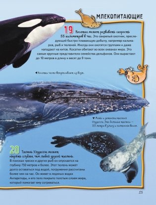 Животные фото книги 16