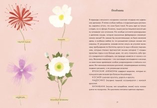 Сибуи. Японская мудрость времени фото книги 8