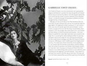 The Story of the Chanel Bag: Timeless. Elegant. Iconic. фото книги 3