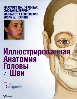 Иллюстрированная анатомия головы и шеи. 5-е изд фото книги