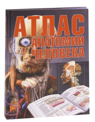 Атлас анатомии человека фото книги 2