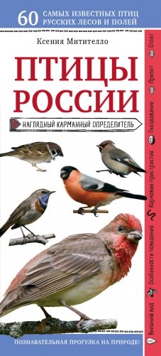 Птицы России. Наглядный карманный определитель (для ПР) фото книги
