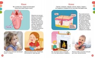 Как устроено тело человека фото книги 7