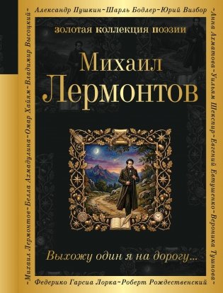 Выхожу один я на дорогу... фото книги
