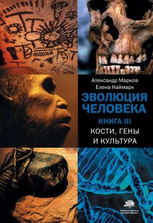 Эволюция человека. Книга III. Кости, гены и культура фото книги