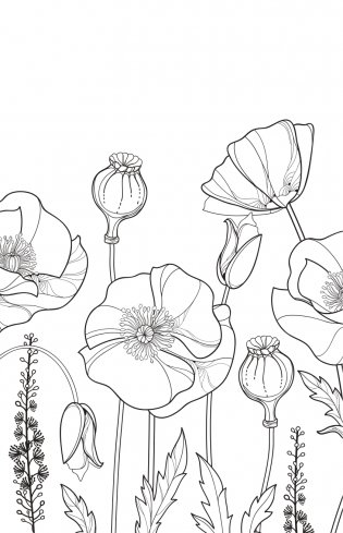 Зачарованный сад. Мини-раскраска-антистресс для творчества и вдохновения (обновленное издание) фото книги 10