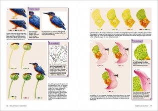 Birds and Flowers in Colored Pencil: Step-by-Step Tutorials and Techniques фото книги 7