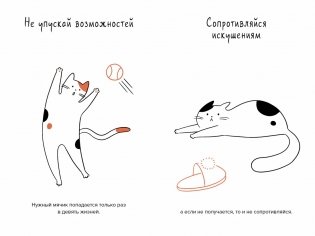 Кот всему голова. Кошачьи мудрости для жизни без стресса фото книги 7
