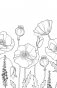 Зачарованный сад. Мини-раскраска-антистресс для творчества и вдохновения (обновленное издание) фото книги маленькое 11