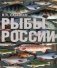 Рыбы России фото книги маленькое 2
