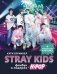 Stray Kids. Фанбук о лидерах K-pop фото книги маленькое 2