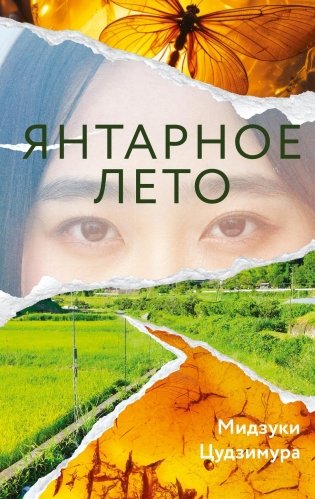 Янтарное лето фото книги