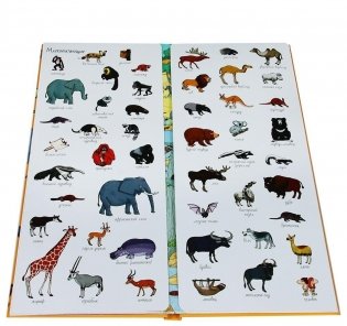 Мир животных. Для детей 5-9 лет. 275 элементов для поиска фото книги 3