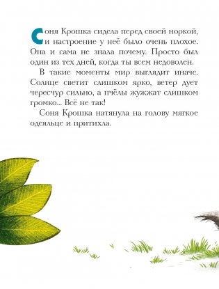 История маленькой сони, которая весь день была не в духе фото книги 2