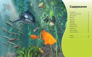 Жизнь в океане фото книги 2