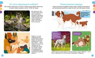 Любимые питомцы фото книги 3