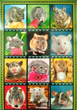Календарь настенный перекидной "Год крысы" на 2020 год, с ригелем фото книги 2