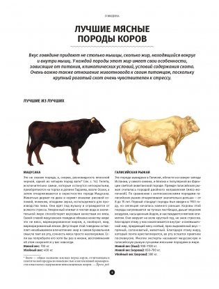 Мясо. Полное иллюстрированное руководство фото книги 5