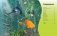 Жизнь в океане фото книги маленькое 3