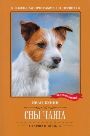 Сны Чанга: рассказы и повести фото книги