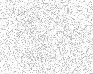 Mystery Coloring Wild Animals фото книги 12