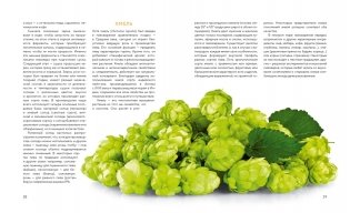Формула пива. От янтарного зерна до пенной кружки фото книги 9