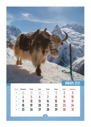 Календарь на спирали на 2021 год "Символ года 1" фото книги 2