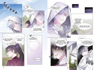 Из рыцаря в леди. Том 3 фото книги 5