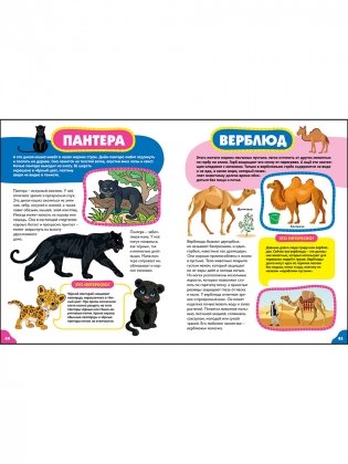 Животные для самых маленьких. Лучшая энциклопедия для малышей фото книги 7