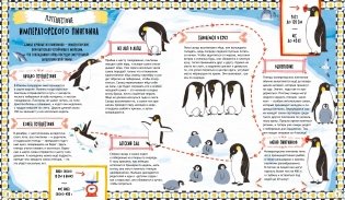 Куда идут пингвины. Маршруты миграции животных фото книги 3