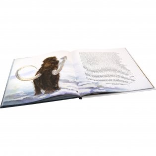 Туманный человечек с Боденского озера фото книги 5