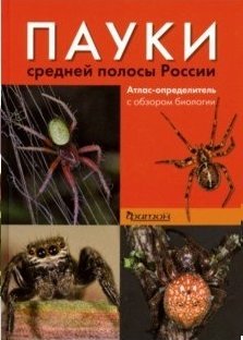Пауки средней полосы России фото книги